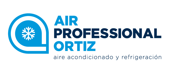 AIR PROFESSIONAL ORTIZ